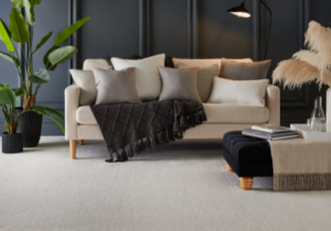 adoro carpet