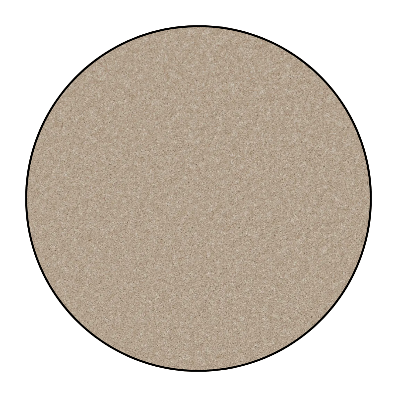 alpaca-2169